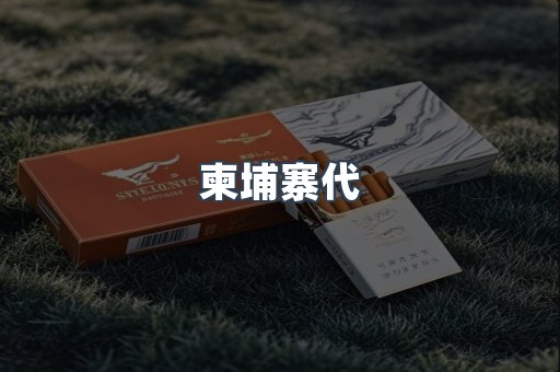 柬埔寨代